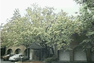 5 ELIOT Court, Unit #5 , Teaneck